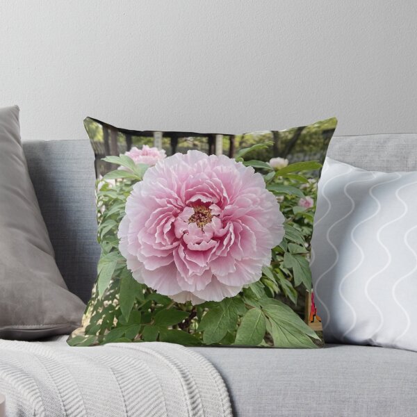 Item preview, Peony Blooming in Traditional Courtyard Garden designed and sold by gaohao1.