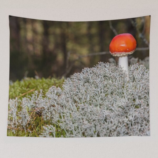 Item preview, Amanita muscaria Mushroom in a Latvian Forest designed and sold by Jon Shore.