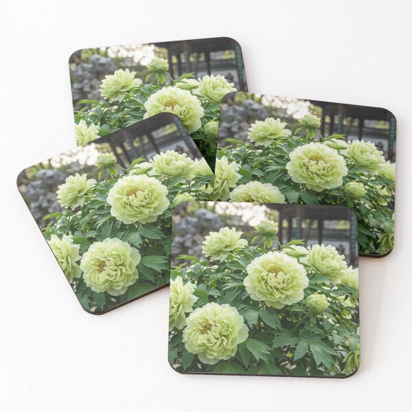 Item preview, Peony Blooming in Traditional Courtyard Garden designed and sold by gaohao1.