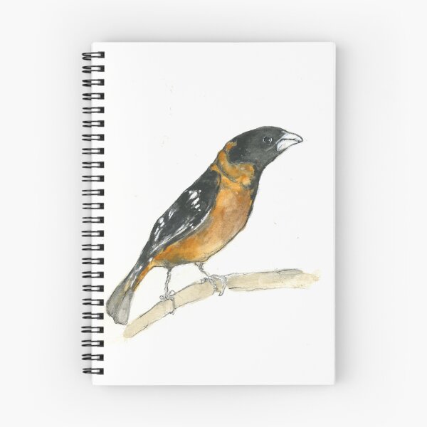 Item preview, Black Headed Grosbeak designed and sold by Barbara E Wyeth.