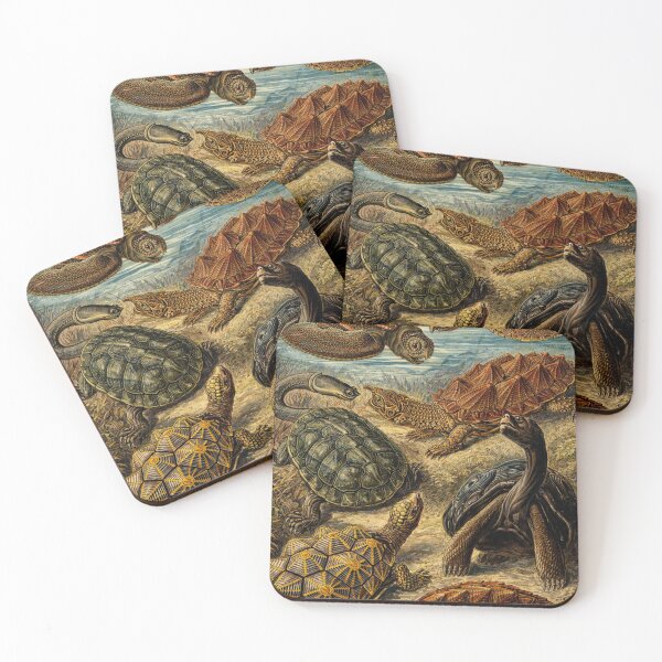 Item preview, Vintage Scientific Illustration Sea Turtles and Tortoises Reptile Art for Natural History Lovers designed and sold by RickE.