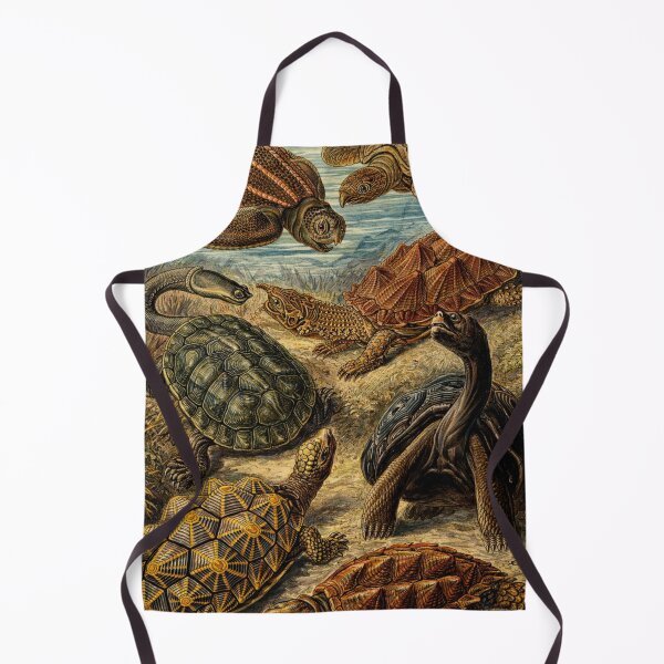 Item preview, Vintage Scientific Illustration Sea Turtles and Tortoises Reptile Art for Natural History Lovers designed and sold by RickE.