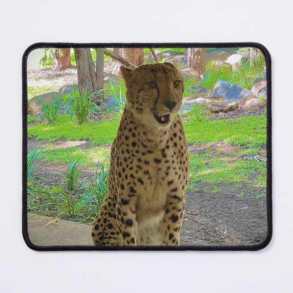 Item preview, Cheetah designed and sold by Jeffingfun.