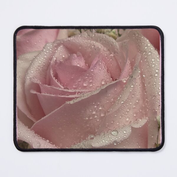 Item preview, Beautiful pink roses designed and sold by Sir Martin.