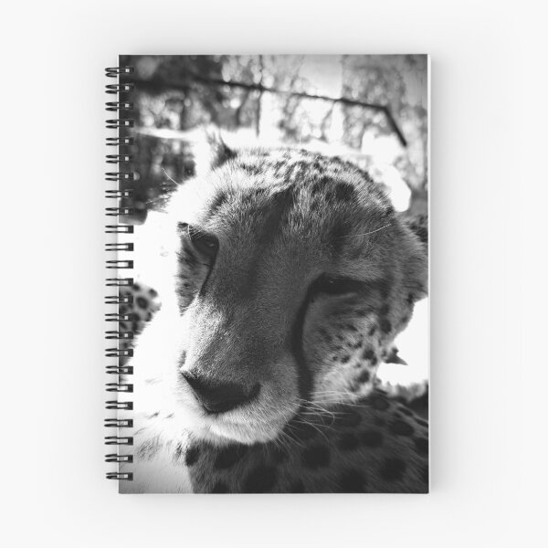 Item preview, Cheetah close up designed and sold by Jeffingfun.