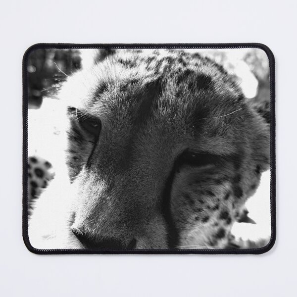Item preview, Cheetah close up designed and sold by Jeffingfun.