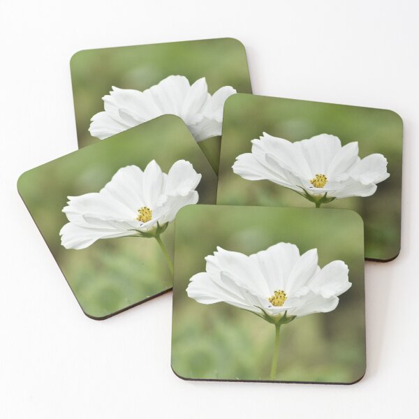 Item preview, Elegant White Cosmos Flower, Minimalist Botanical Photography, Soft Nature Garden Wall Art for Cottagecore Decor designed and sold by TathataPhotos.