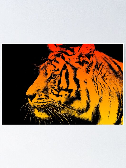 Thumbnail 1 of 3, Poster, Sunrise Tiger designed and sold by JDGraphicDesign.