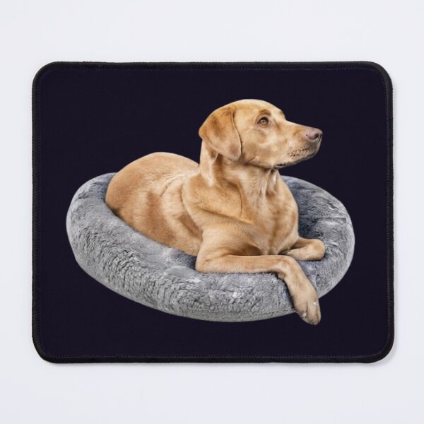 Item preview, YELLOW LABRADOR RETRIEVER RESTING PORTRAIT - LOYAL FAITHFUL designed and sold by PRINTSCHARMINGM.