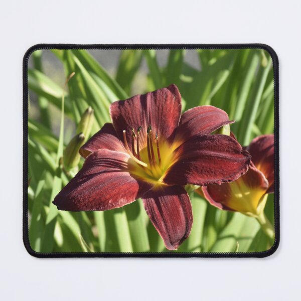 Item preview, Burgundy Daylily Macro Photography designed and sold by TathataPhotos.