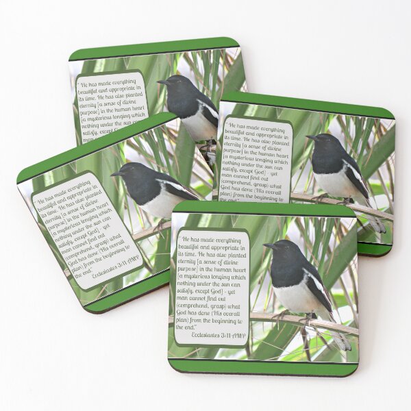 Item preview, Ecclesiastes 3:11 and Oriental Magpie-robin designed and sold by Linda Walsh.