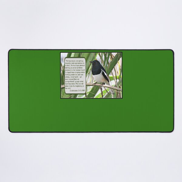 Item preview, Ecclesiastes 3:11 and Oriental Magpie-robin designed and sold by Linda Walsh.
