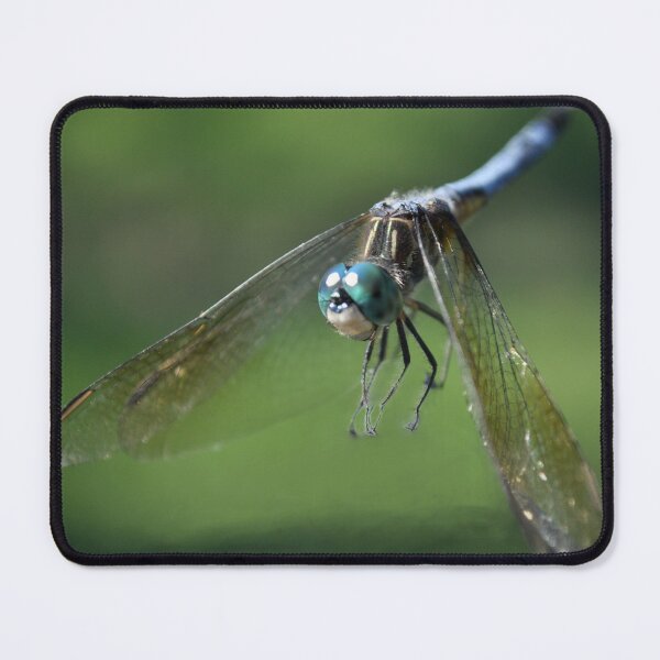 Item preview, A Fly_By Greeting designed and sold by michaelasamples.
