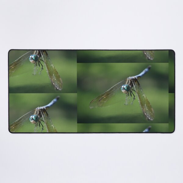 Item preview, A Fly_By Greeting designed and sold by michaelasamples.