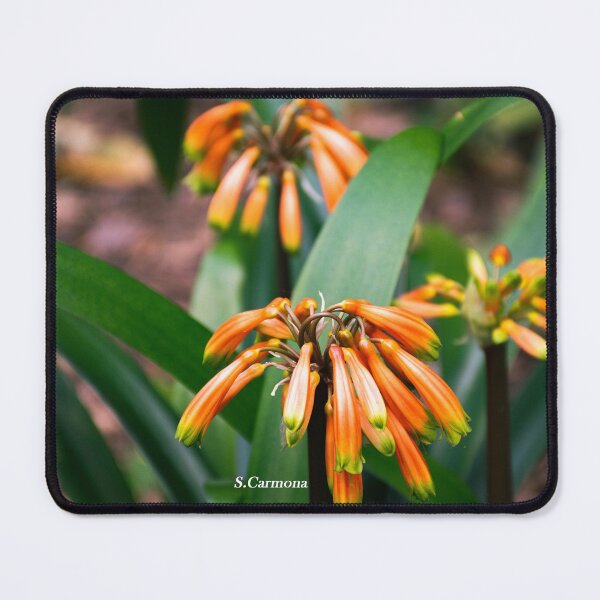 Item preview, Vibrant Orange Flowers in Bloom - Floral Nature Photography designed and sold by AuraInkSC.
