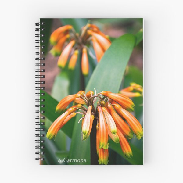 Item preview, Vibrant Orange Flowers in Bloom - Floral Nature Photography designed and sold by AuraInkSC.