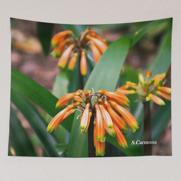 Item preview, Vibrant Orange Flowers in Bloom - Floral Nature Photography designed and sold by AuraInkSC.