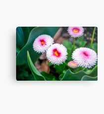 Bright Spring White Flowers Metal Print