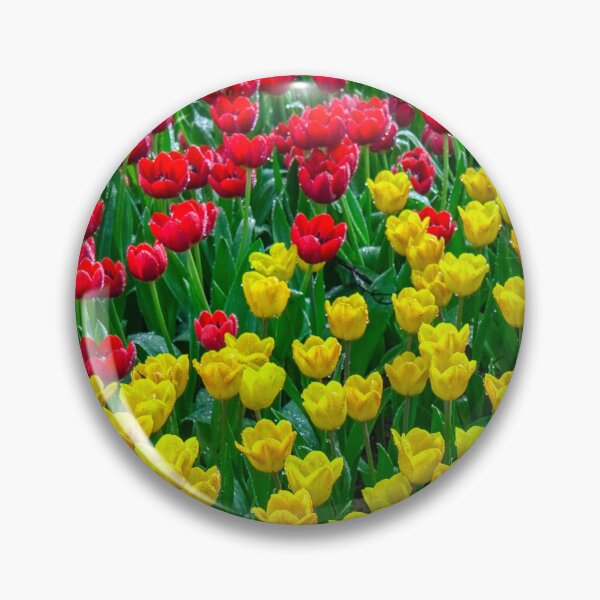 Item preview, Red and Yellow Tulip Field After Rain designed and sold by Jomsunshine.