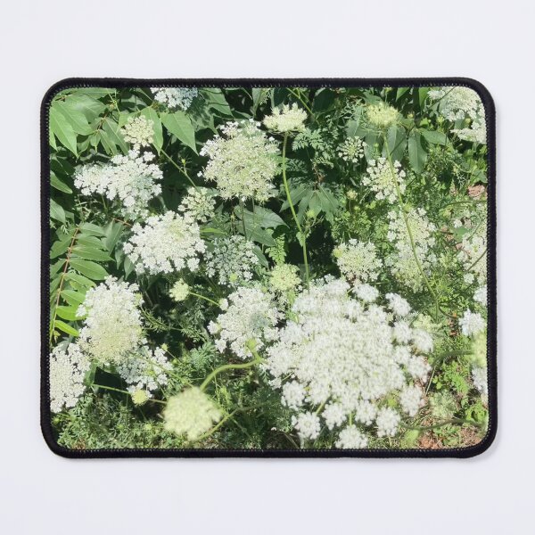 Item preview, Queen Anne’s Lace designed and sold by Amanda1775.