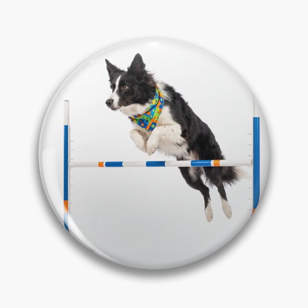 Item preview, Border Collie Agility Star designed and sold by PictoVibe.