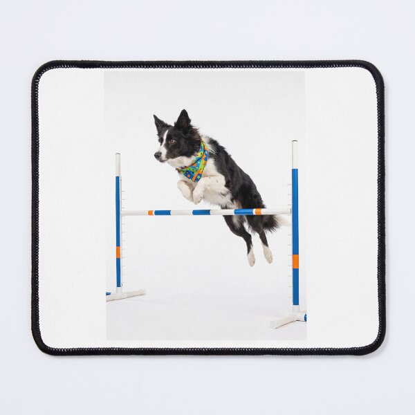 Item preview, Border Collie Agility Star designed and sold by PictoVibe.