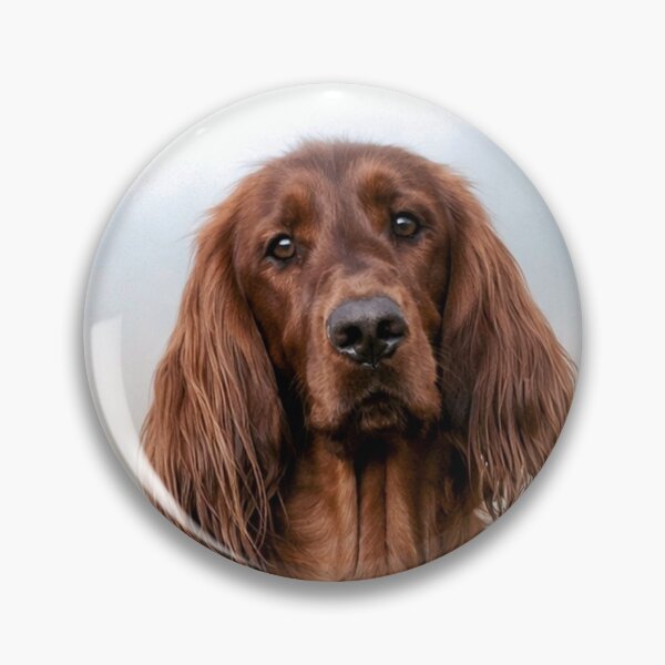 Item preview, The Fog Holds Her Gently — Irish Setter in the Meadow designed and sold by Mythen.
