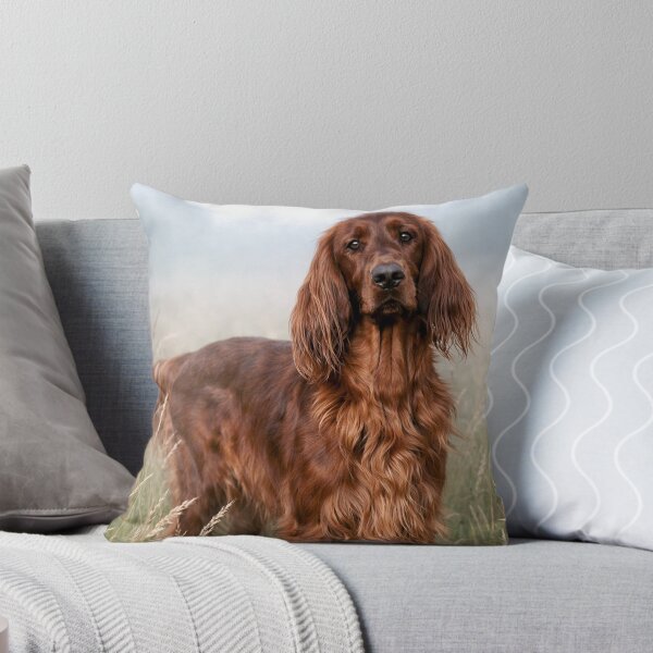 Item preview, The Fog Holds Her Gently — Irish Setter in the Meadow designed and sold by Mythen.