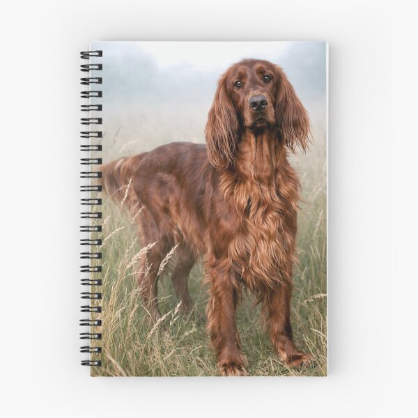 Item preview, The Fog Holds Her Gently — Irish Setter in the Meadow designed and sold by Mythen.