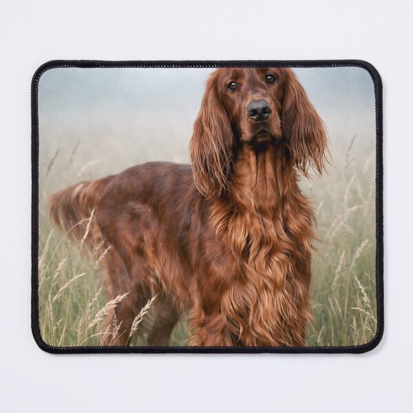 Item preview, The Fog Holds Her Gently — Irish Setter in the Meadow designed and sold by Mythen.