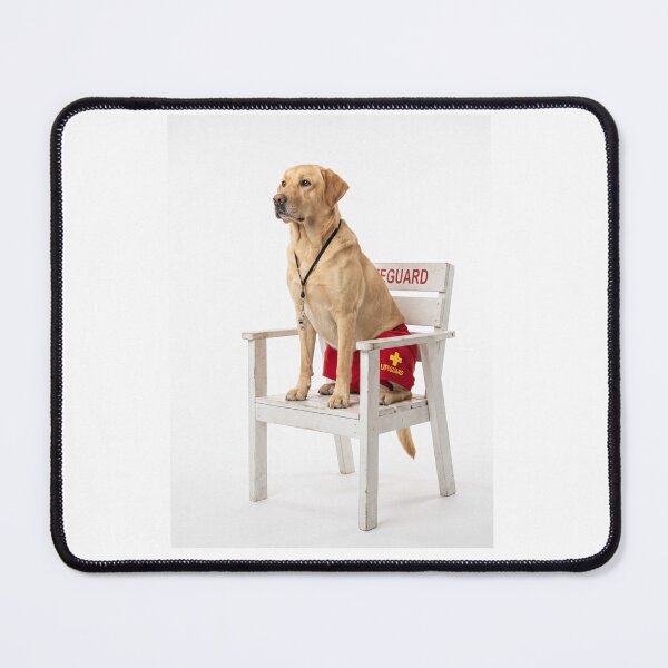 Item preview, Labrador Lifeguard Hero designed and sold by PictoVibe.
