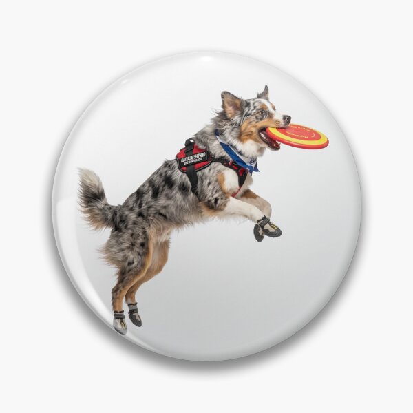 Item preview, Australian Shepherd Disc Champion designed and sold by PictoVibe.