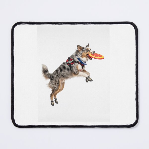Item preview, Australian Shepherd Disc Champion designed and sold by PictoVibe.