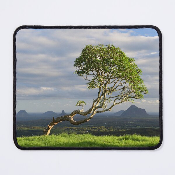 Item preview, Crooked Tree Views designed and sold by photosbymia.