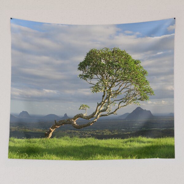 Item preview, Crooked Tree Views designed and sold by photosbymia.