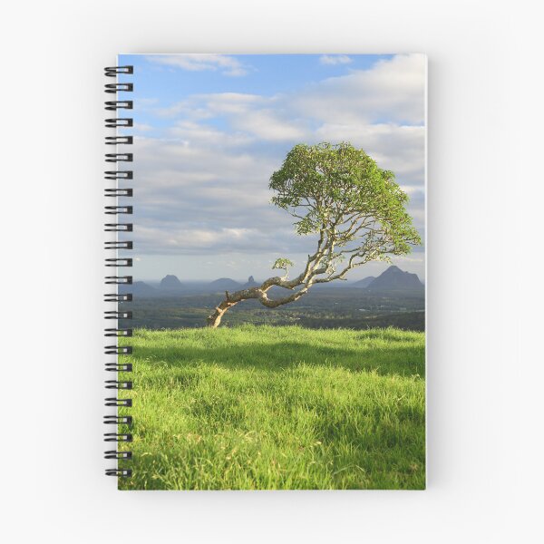 Item preview, Crooked Tree designed and sold by photosbymia.