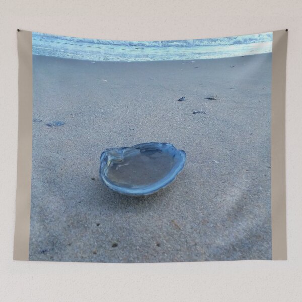 Item preview, Shell's View designed and sold by Curious Echo Photography.