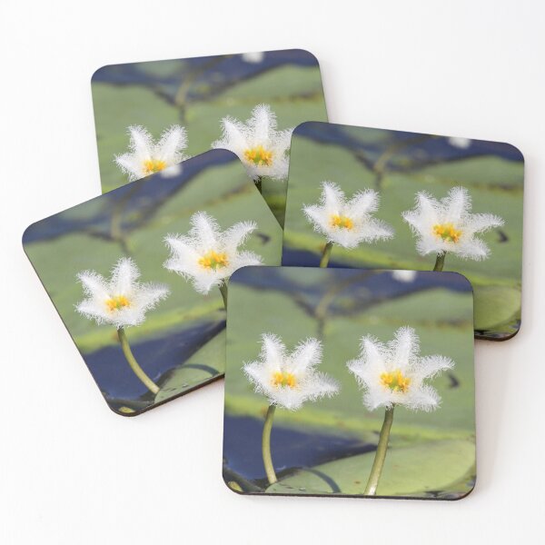 Item preview, Native White Water Lily Flowers Australia designed and sold by 27Tammy27.