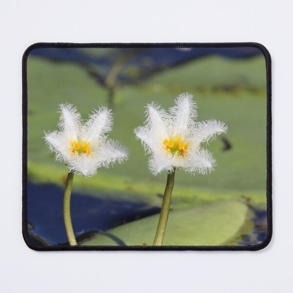 Item preview, Native White Water Lily Flowers Australia designed and sold by 27Tammy27.