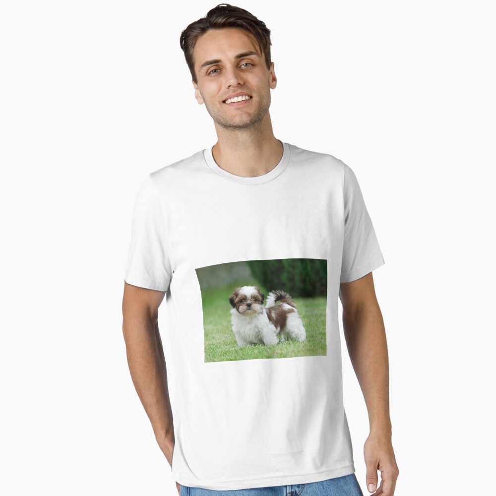 Shih tzu puppy Photographic Print