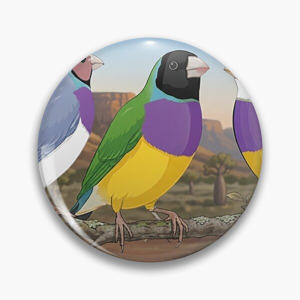Item preview, Gouldians in the Kimberley 2 designed and sold by Gouldian Care.