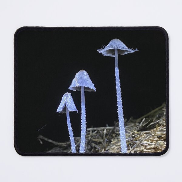 Item preview, Ethereal fungi by night designed and sold by CritterCapers.
