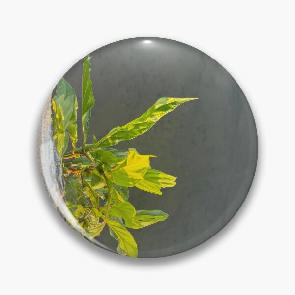 Item preview, Rocky Wall Plant Over Sea designed and sold by Jasbindar Singh.
