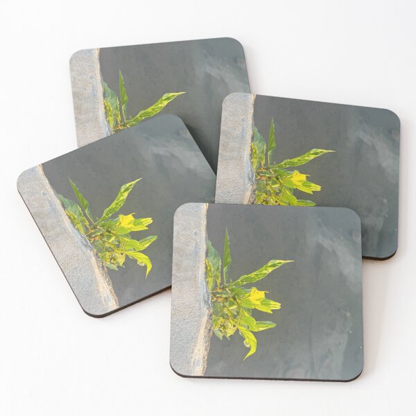 Item preview, Rocky Wall Plant Over Sea designed and sold by Jasbindar Singh.