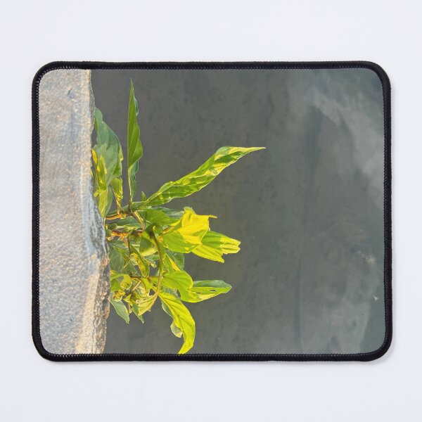 Item preview, Rocky Wall Plant Over Sea designed and sold by Jasbindar Singh.