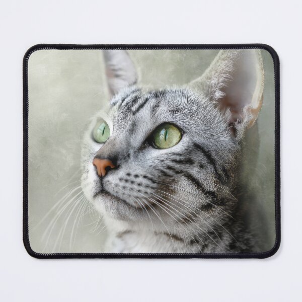 Item preview, Egyptian Mau Portrait designed and sold by Elisabeth Lucas.
