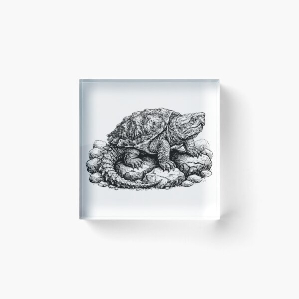 Item preview, Vintage Woodcut Bighead Turtle Illustration designed and sold by DuckOddity.