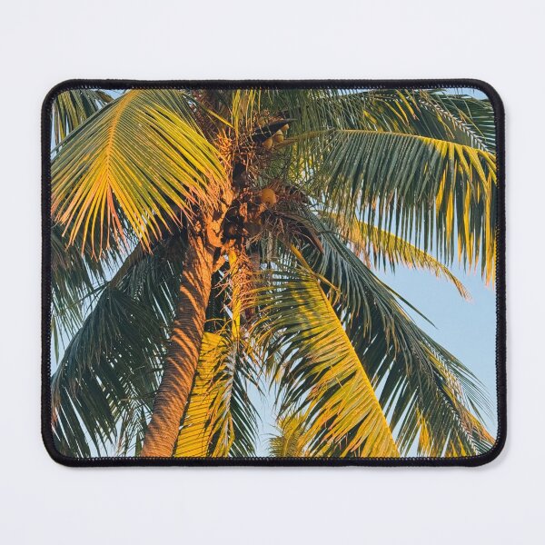 Item preview, Sunlit Coconut Tree designed and sold by Jasbindar Singh.