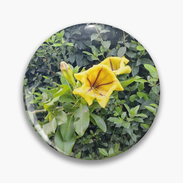 Item preview, summer bloom, golden chalice vine designed and sold by Lunar-Dragon.