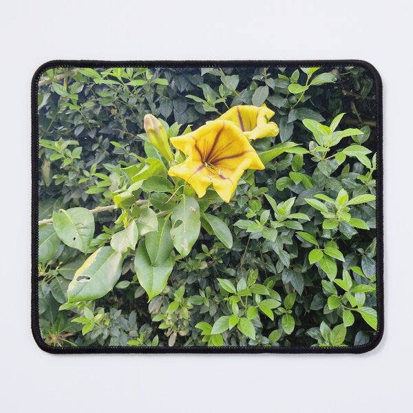 Item preview, summer bloom, golden chalice vine designed and sold by Lunar-Dragon.